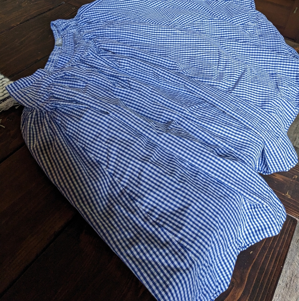 Blue and White Gingham Skirt by Blue B